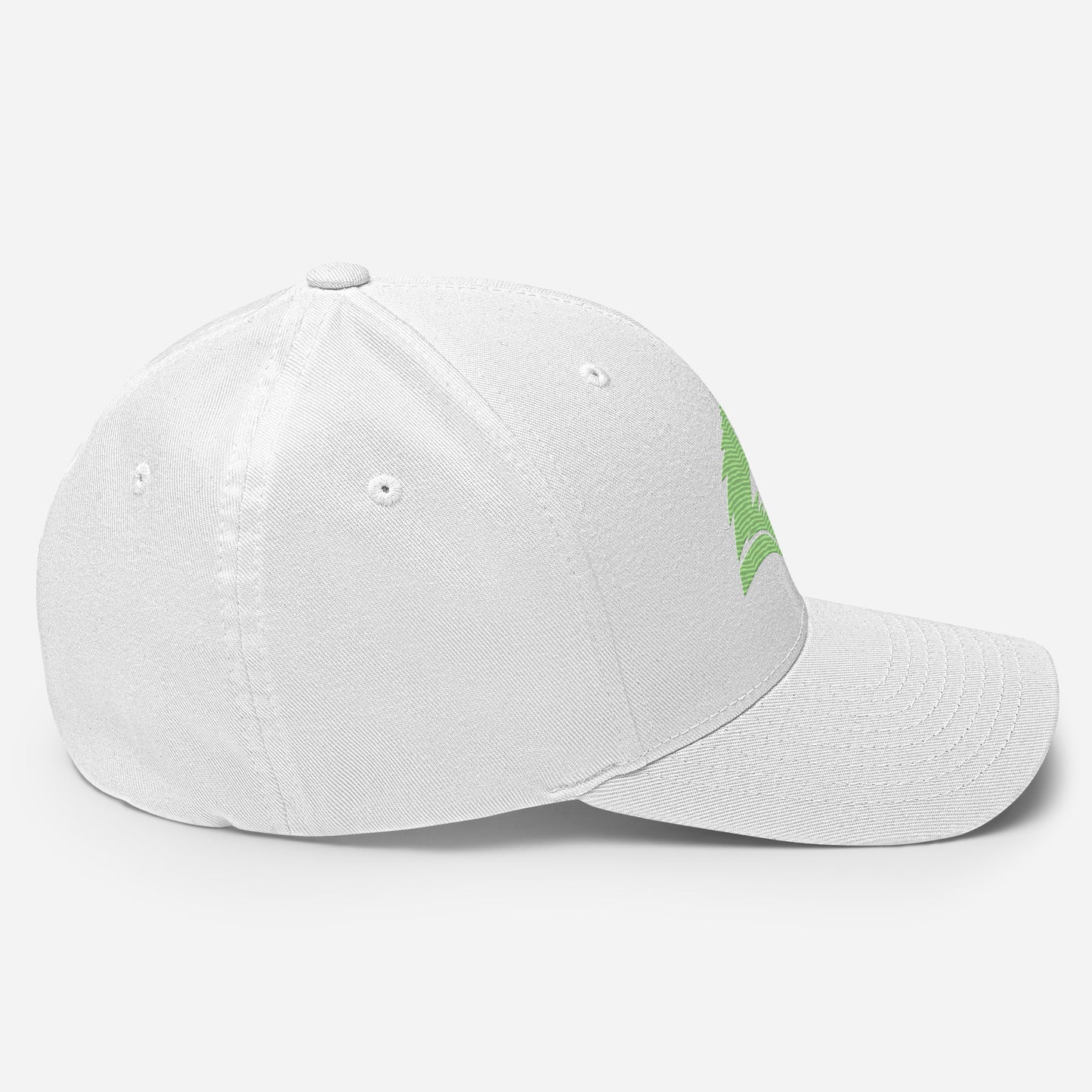 Structured Twill Cap